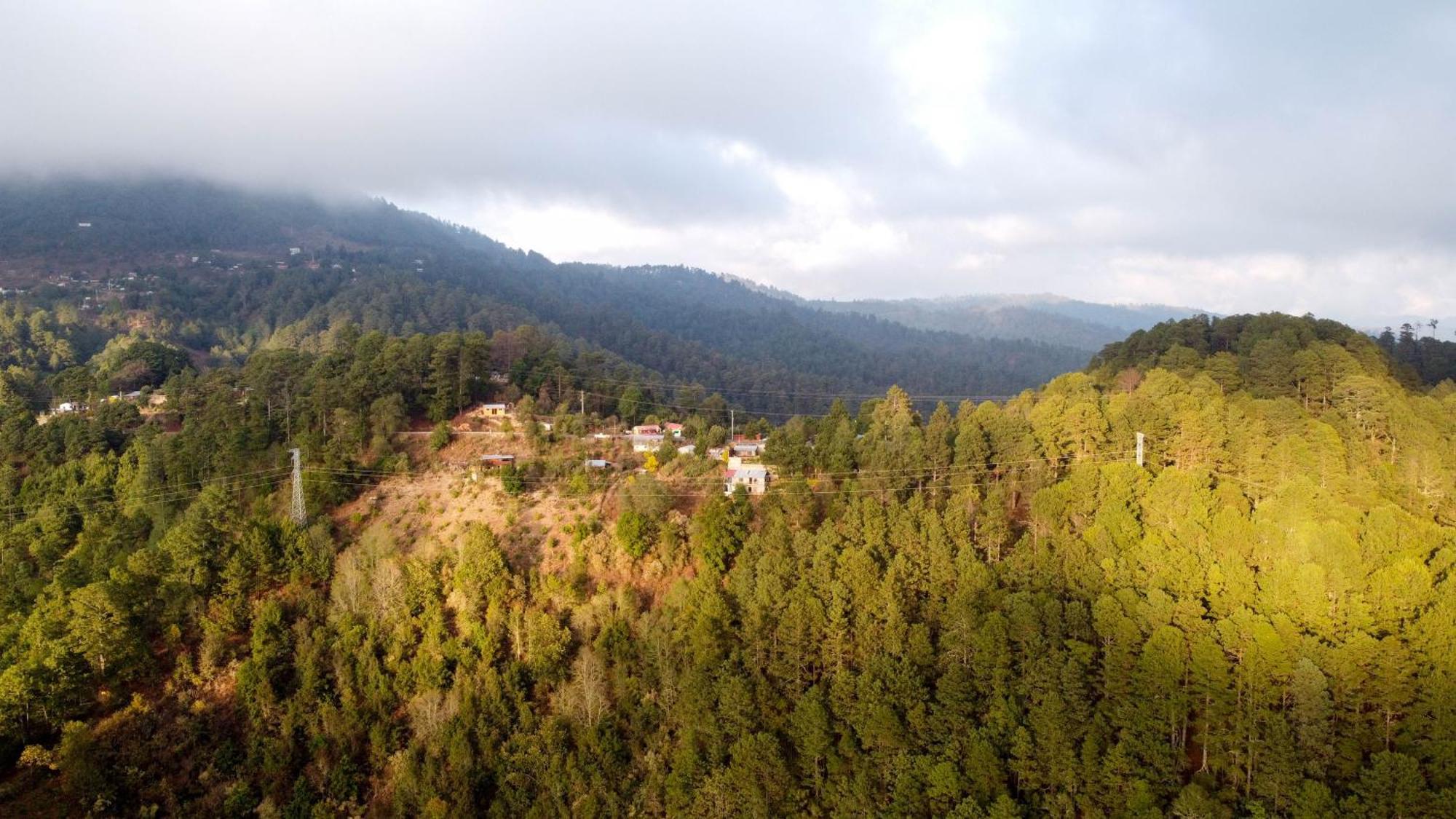 San Jose Del Pacifico- Cabanas Camino Al Cielo 2 エクステリア 写真