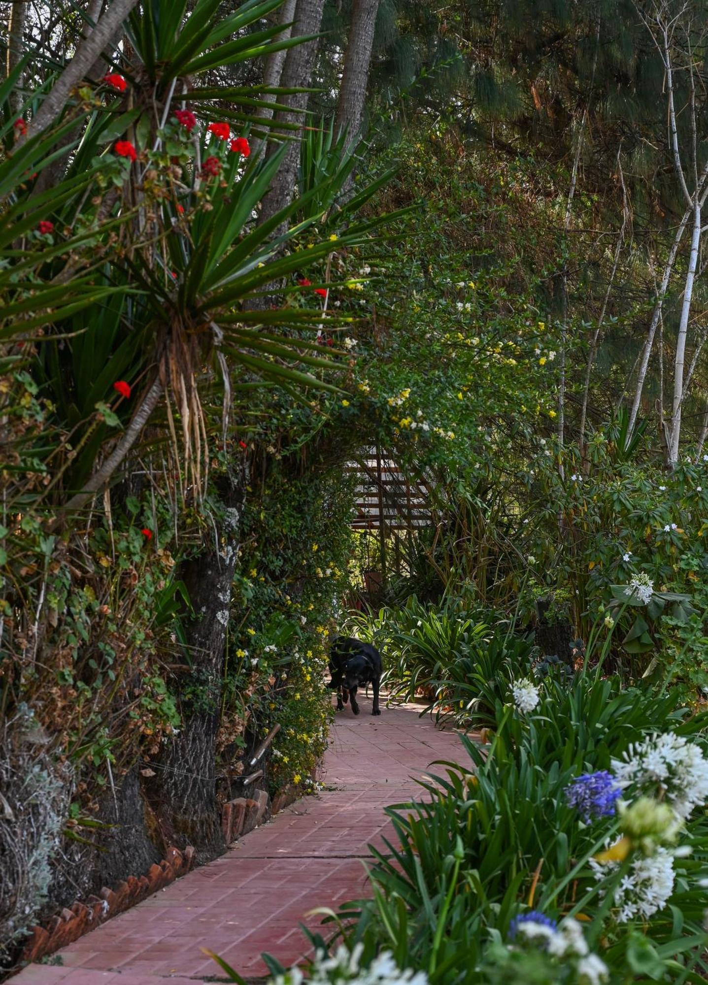 San Jose Del Pacifico- Cabanas Camino Al Cielo 2 エクステリア 写真